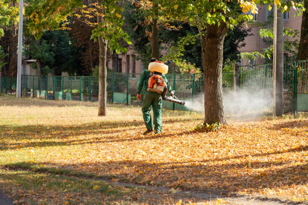 Insect Control in Bayfield, CO