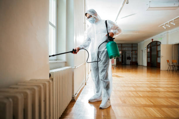 Trusted Bayfield, CO Pest Control Experts